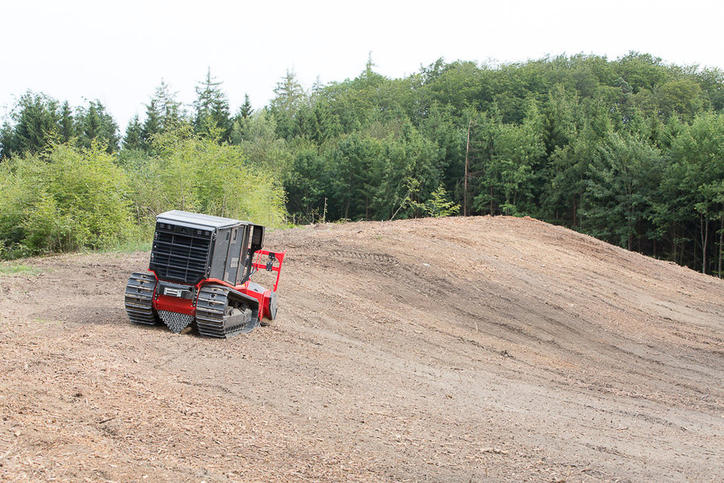 Raptor300