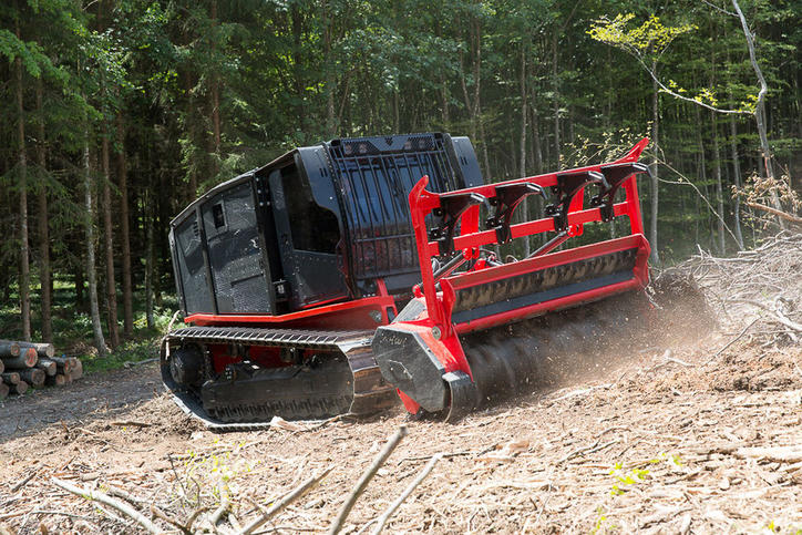 Raptor300