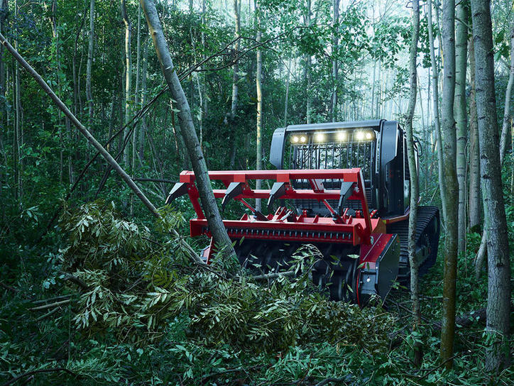 Raptor800